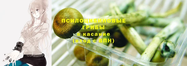 твердый Аркадак
