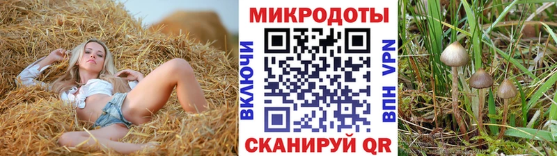 Псилоцибиновые грибы мухоморы  Фурманов 